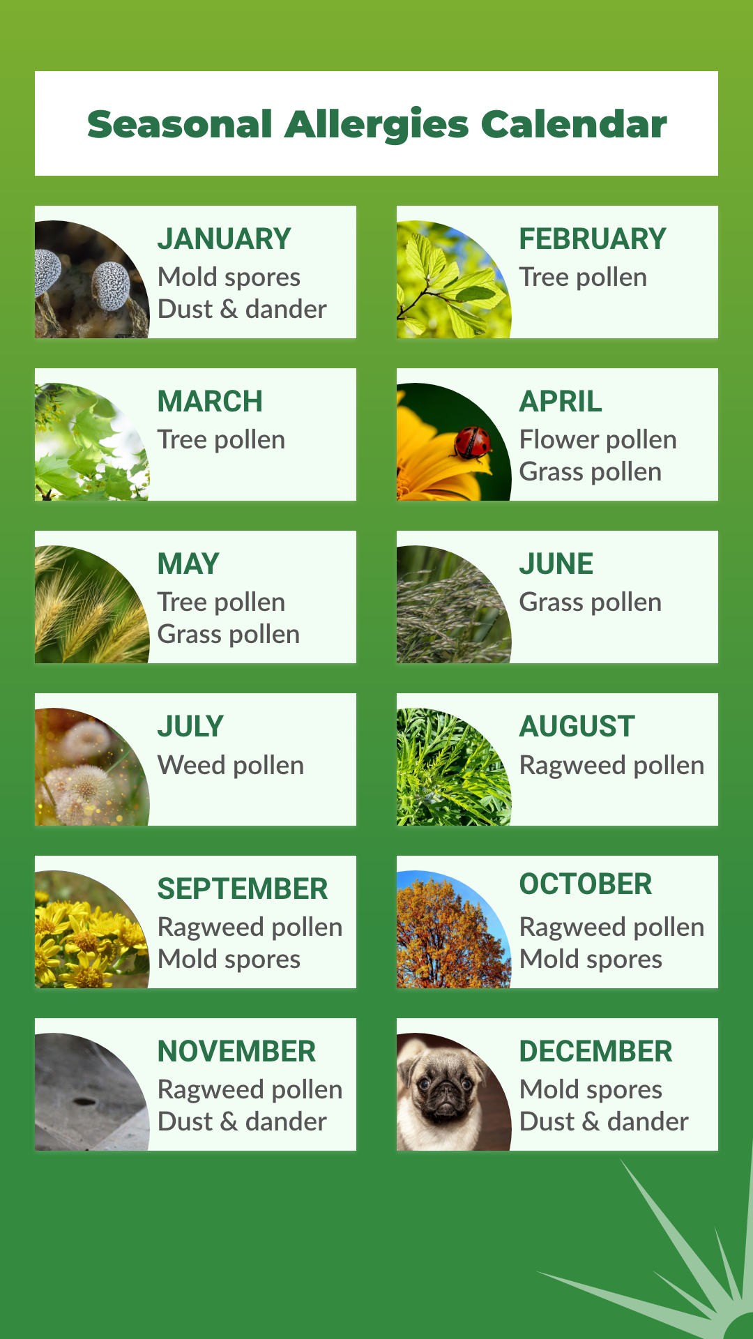 Groupon Pharmacy Savings seasonal allergies calendar